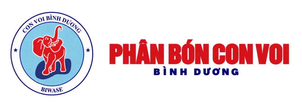 Phan bon con voi